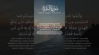 Download lagu Surah Al Baqarah verse 196 (1) [Recitation of Quran] #quranrecitation #quranverses #translation mp3