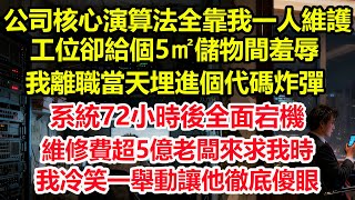 公司核心演算法全靠我一人維護，工位卻給個5㎡儲物間羞辱，我離職當天埋進個代碼炸彈，系統72小時後全面宕機，維修費超5億 老闆來求我時，我冷笑一舉動讓他徹底傻眼！#情感 #爽文 #職場 #生活 #總裁