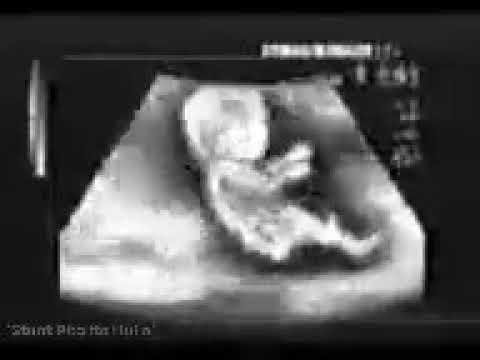 Admiradores de Airton Senna...