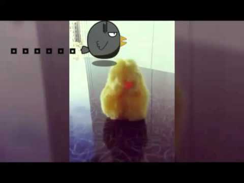 Henry Chicken |HIS LIFE|