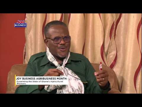 Joy Business Agribusiness Month: Examining the state of Ghana's agricultural workers | Market Place