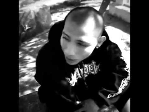 Rasta a lo pelón santa grifa