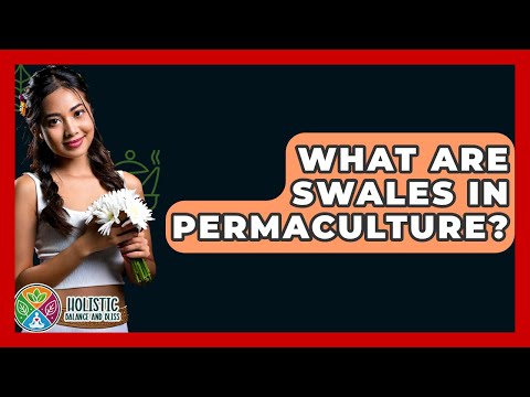 What Are Swales In Permaculture? - Holistic Balance And Bliss