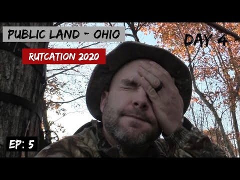 DAY 4 | BIG BUCK at 15 YARDS! | OHIO RUTCATION 2020 | PUBLIC LAND BOWHUNTING