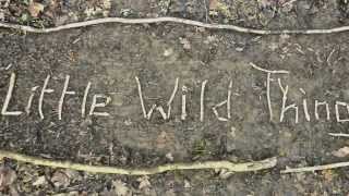 Little Wild Things