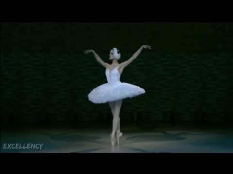 بالية الاوركسترا العالمية بحيرة البجع // تشايكوفيسكي