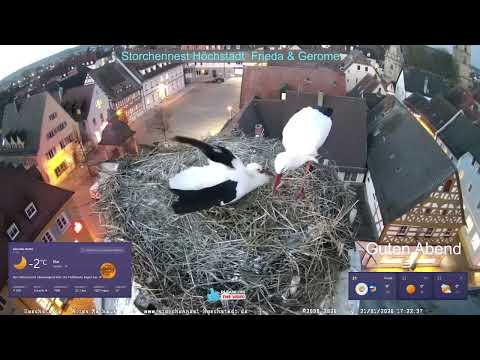 2026 01 21 Storchennest Höchstadt, Fremdling stört da noch zu später Stunde, trotzdem gutes Nächtle
