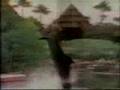 Classic Sesame Street Film Of A Dolphin