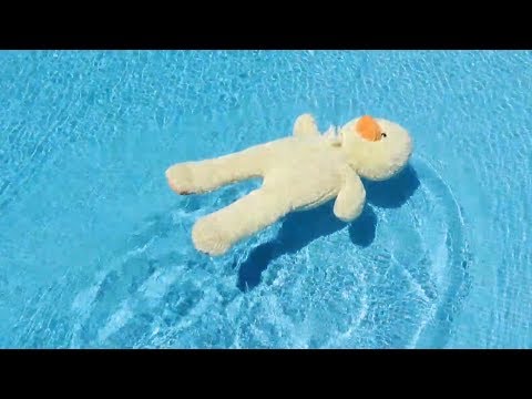 EL SEÑOR PATO EN LA PISCINA