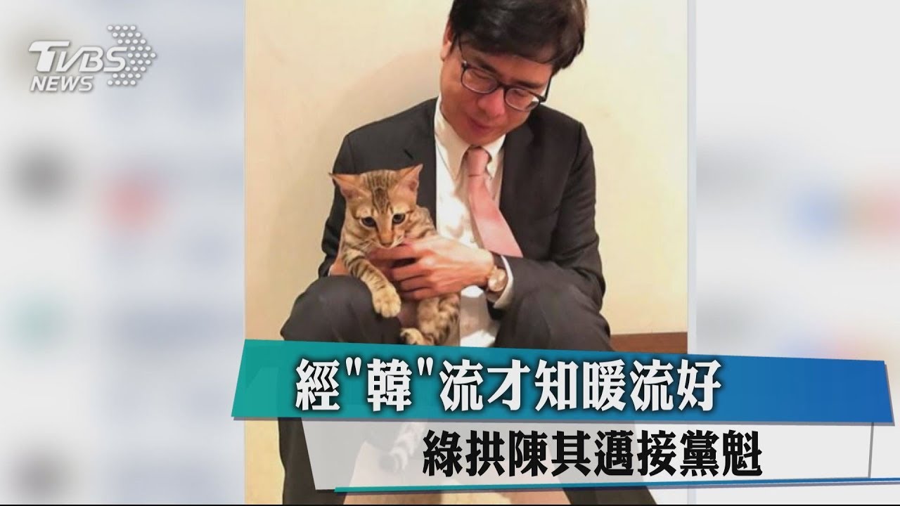 經「韓」流才知暖流好　綠拱陳其邁接黨魁