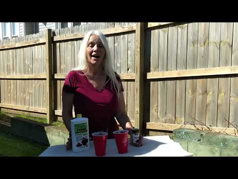 WHG: Does Battle with Fungus Gnats