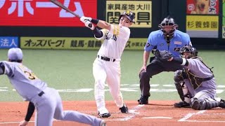🔥100号到達…栗原陵矢が放った“覚醒の18号2ラン”⚾💥#栗原陵矢 #ソフトバンクホークス #プロ野球 #ホームラン #交流戦 #才木浩人 #100号ホームラン #NPB #野球ハイライト #覚醒