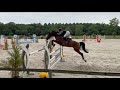 Jument 6 ans / belles origines / mod&egrave;le / respect 