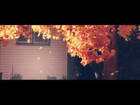 Nát cháy niềm riêng - Kim Khánh