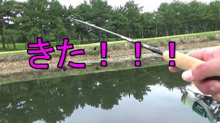 鴨池　謙信！初バスGET！！！