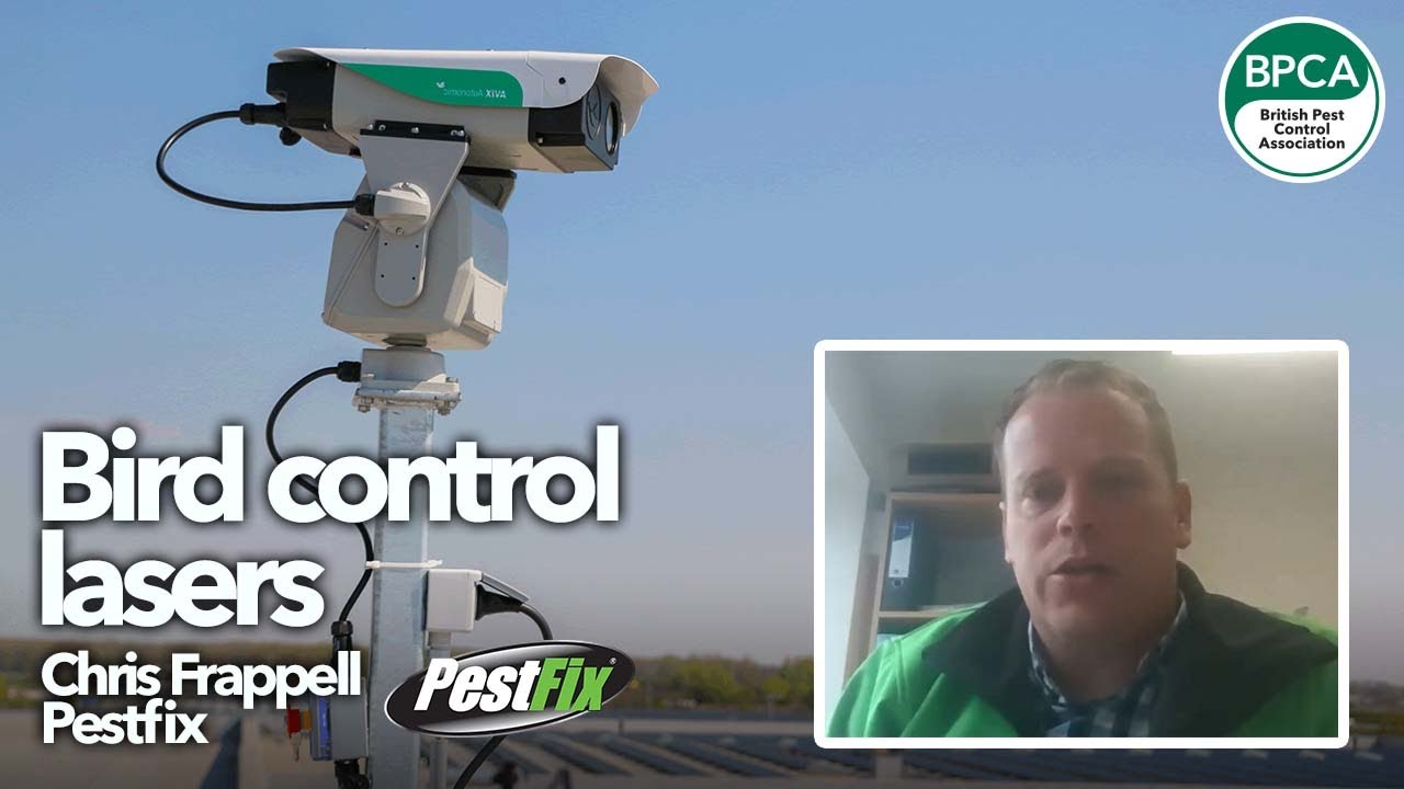 Bird control lasers explained | Digital Forum 9