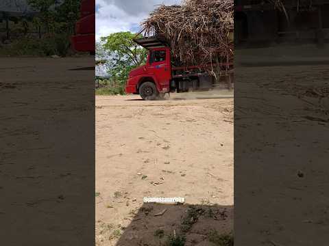 1620 CHEGANDO NA USINA TAQUARA EM COLÔNIA LEOPOLDINA ALAGOAS.