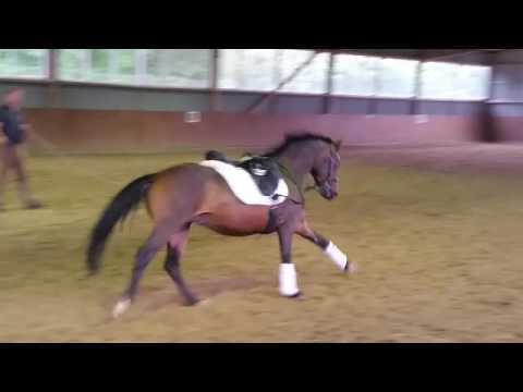 4j. Wallach von Nemax