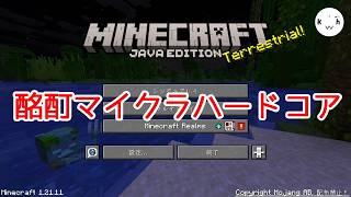 酩酊マイクラハードコア【Minecraft】