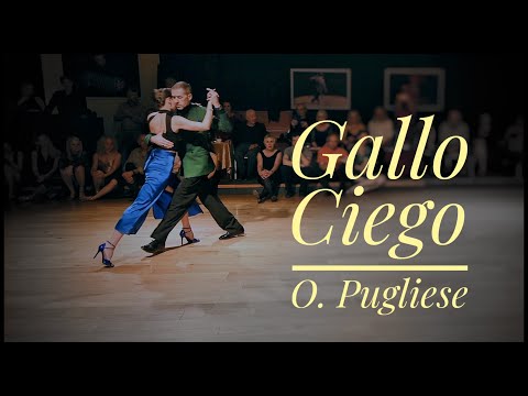 Gallo Ciego - Michael 'El Gato' Nadtochi & Elvira Lambo