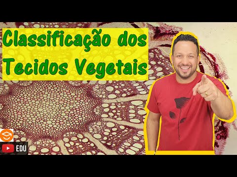 Classification of Plant Tissues - Plant Histology - Botany