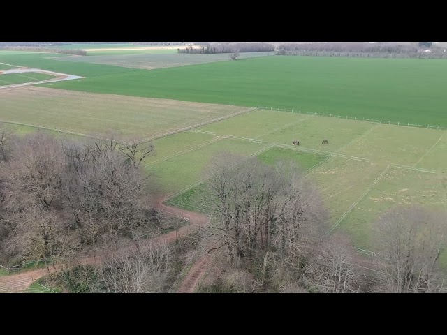 Ecuries des Longères - Pensions de chevaux - Poneys