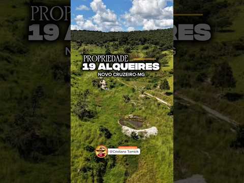 EXCELENTE PROPRIEDADE 19 ALQUEIRES NOVO CRUZEIRO-MG R$ 1 MILHÃO #luxo #rural #agro #roça #brasil