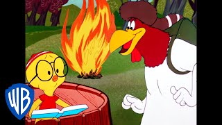 Looney Tunes  Camping with Foghorn Leghorn  Classi