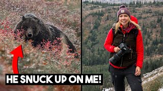 Photographing GRIZZLY BEARS 😱 in Montana &amp; Wyoming with my Sigma 150-600