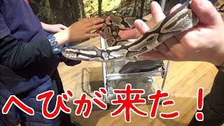 オービィ横浜に行ってみた！　アニマルスタジオ編