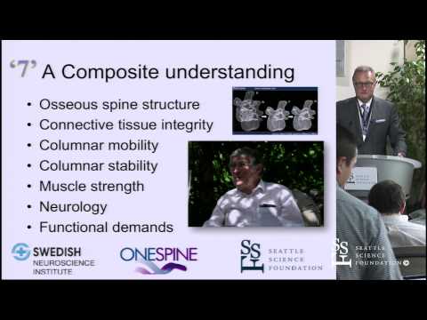 Principles of Spinal Balance by Jens Chapman, M.D.