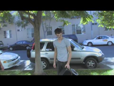 JEFFERY DALLAS- SHIRT THIEF