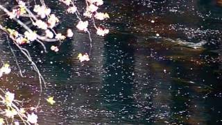 Our Time - Michel Legrand