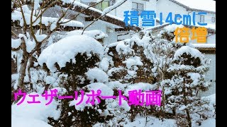 2018/12/28 ウェザーリポート動画【寒波による積雪②】(14cm) ＠福島県福島市/13:30頃