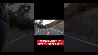 愛媛県　野田垣生線　ゆっくり流す