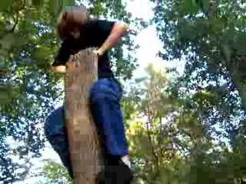 comment monter au arbre