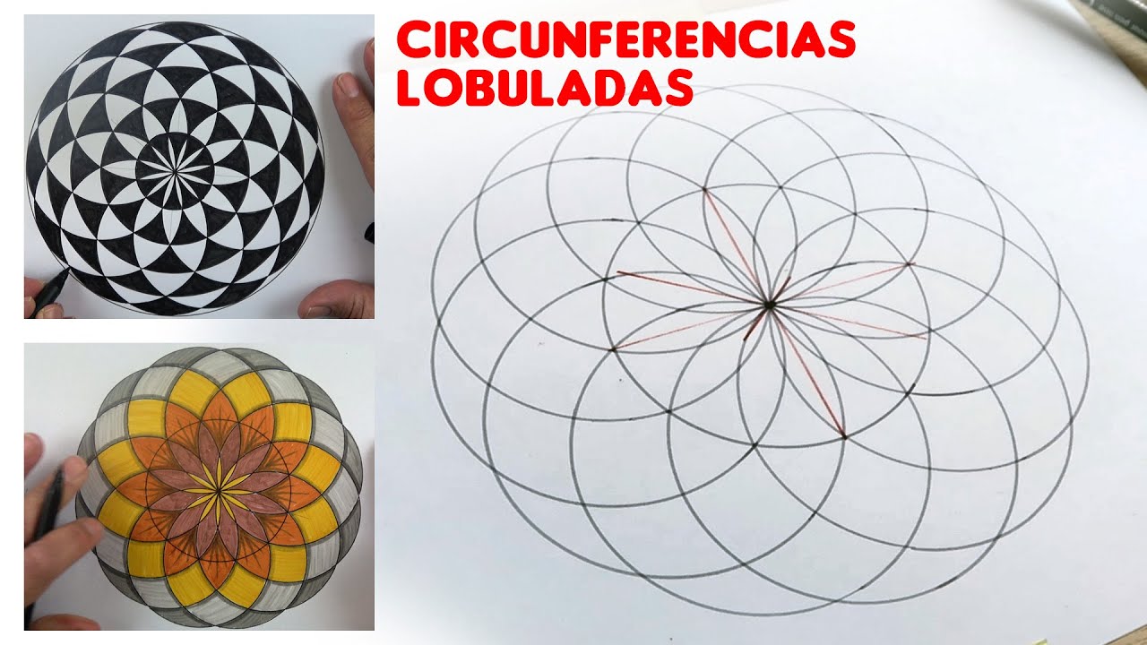 Cómo Dibujar Circunferencias Lobuladas con Compás (Educación Plástica).
