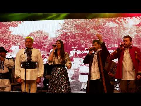 Hai sa ntindem hora mare   Paula Seling, Nicolae Furdui Iancu, Toti K1