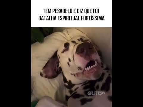 Batalha espiritual fortíssima niqui  #animaisdublados