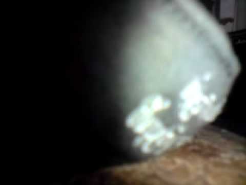 Eager angels - None Of The Above (NOTA)