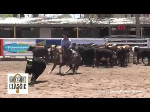 Brother Jackson ridden by Zane Davis - 2014 NRCHA Hackamore Classic(Herd Work)