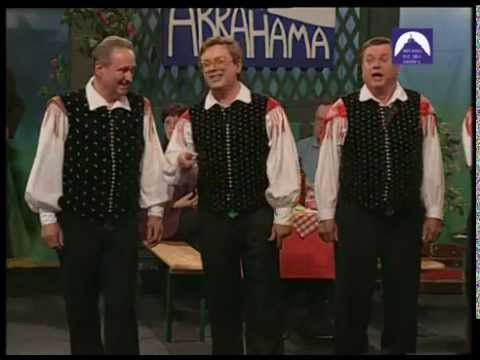 Ansambel Lojzeta Slaka - Čebelar