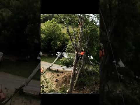 Why wouldn't I run...