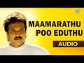 Maamarathu Poo Audio Song | Oomai Vizhihal | Manoj Gyan