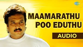 Maamarathu Poo Audio Song  Oomai Vizhihal  Manoj G