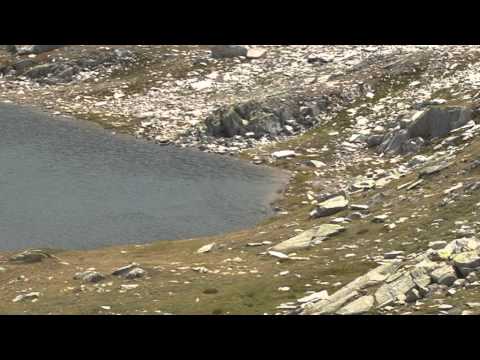 San  Gottardo  laghi  alpini