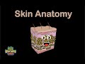 Human Body /Skin Anatomy Song/Human Body Systems