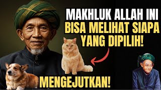 Download lagu KH. Hasyim Asy’ari Bongkar Kebenaran: 8 Hewan Ini Diam-Diam Mengenali Orang-Orang Pilihan Allah mp3