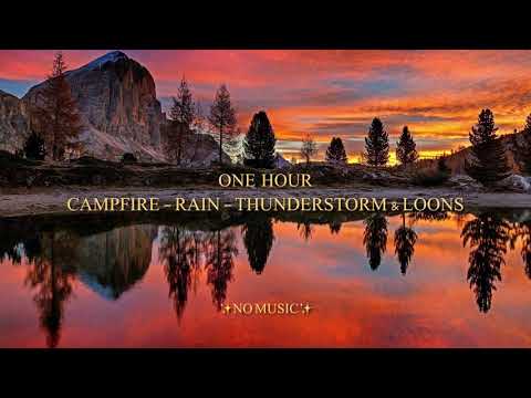 1 Hour Nature Sounds ASMR; Campfire, Then Rain: Then Thunderstorm { With Loon Call }