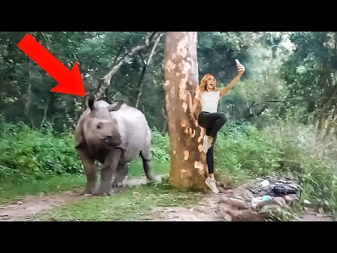 She Did a Huge Mistake! One In A Million Animal Moments Captured on Camera